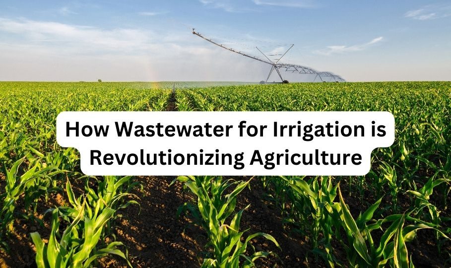 How Wastewater for Irrigation is Revolutionizing Agriculture? Secure
